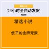 傻王的金牌宠妾