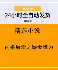 闪婚后爱之娇妻难为