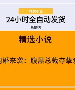 闪婚来袭：腹黑总裁夺挚爱
