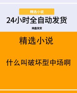 什么叫破坏型中场啊