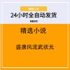 盛唐风流武状元