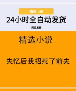 失忆后我招惹了前夫
