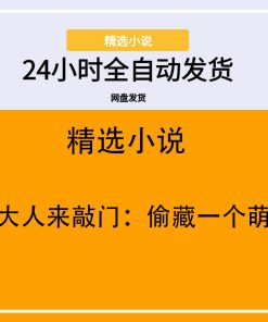 首席大人来敲门：偷藏一个萌宝宝