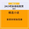 首席妙探独宠妻