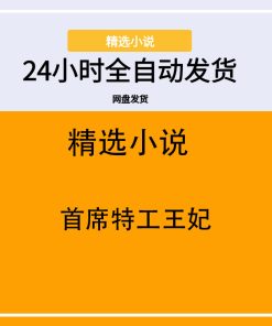 首席特工王妃