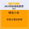 宋朝之寡妇好嫁