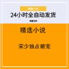 宋少独占婚宠