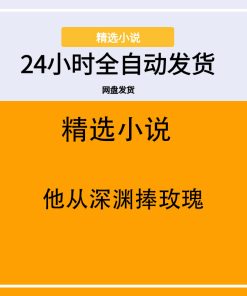 他从深渊捧玫瑰