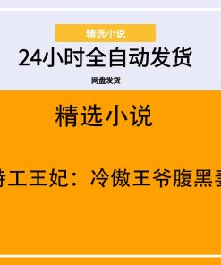 特工王妃：冷傲王爷腹黑妻