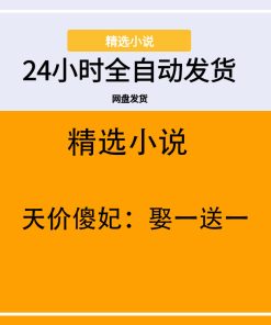 天价傻妃：娶一送一