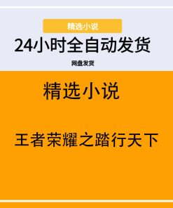 王者荣耀之踏行天下