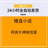网游大神揣兜里