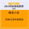网游之菜鸟很疯狂