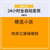 网游之巅峰暗牧