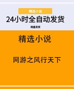 网游之风行天下