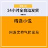 网游之帅气的菜鸟