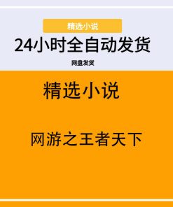网游之王者天下