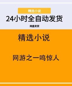 网游之一鸣惊人