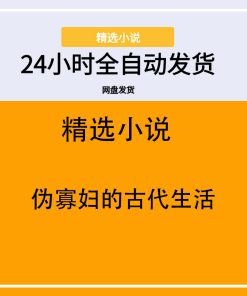 伪寡妇的古代生活