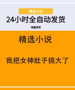 我把女神肚子搞大了