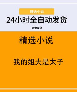 我的姐夫是太子