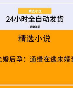 先婚后孕：通缉在逃未婚妻