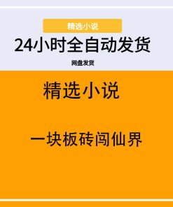 一块板砖闯仙界