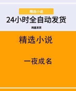 一夜成名