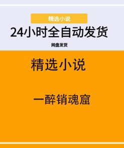一醉销魂窟