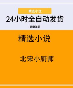 北宋小厨师