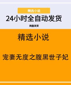 宠妻无度之腹黑世子妃