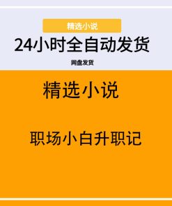 职场小白升职记