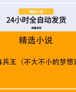 至尊兵王（不大不小的梦想家）
