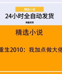 重生2010：我加点做大佬