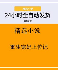重生宠妃上位记