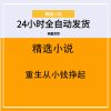 重生从小钱挣起