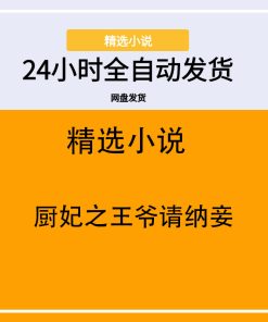 厨妃之王爷请纳妾