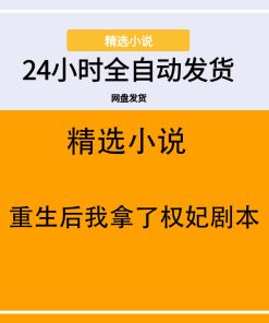 重生后我拿了权妃剧本