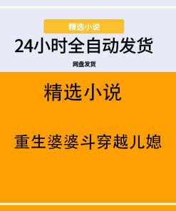 重生婆婆斗穿越儿媳