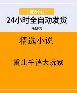重生千禧大玩家