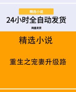 重生之宠妻升级路