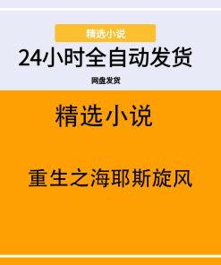重生之海耶斯旋风