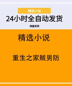重生之家贼男防