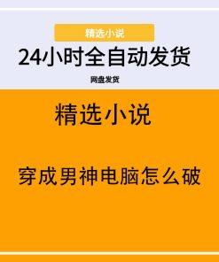 穿成男神电脑怎么破