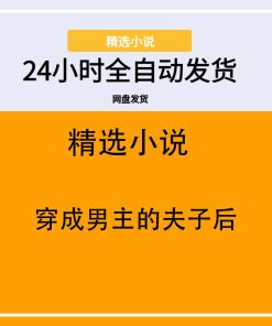 穿成男主的夫子后