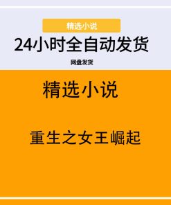 重生之女王崛起