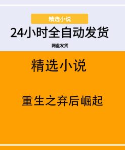 重生之弃后崛起