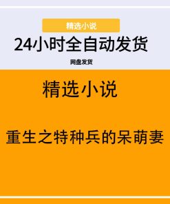 重生之特种兵的呆萌妻