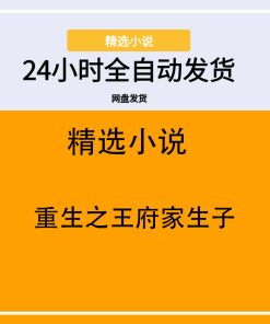 重生之王府家生子