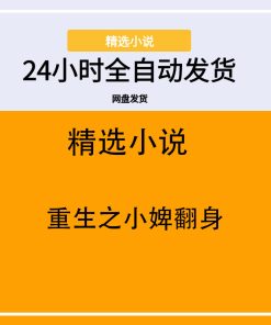 重生之小婢翻身